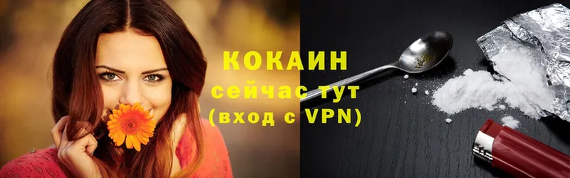 Cocaine Эквадор  mega зеркало  Реутов 