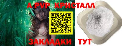 a pvp Будённовск